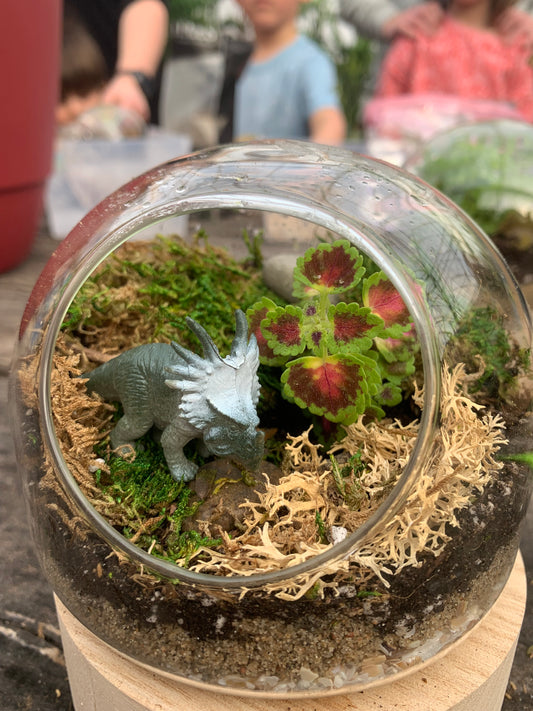 Atelier créatif de terrarium (Adulte)-Farnham