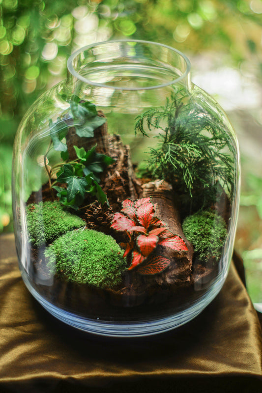 Atelier terrarium pour enfants-Farnham